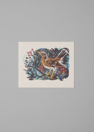 Mark Hearld Greeting Card Set | Multi