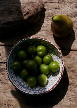 Casa de Folklore Horezu Bowl | Blue/Coral/White